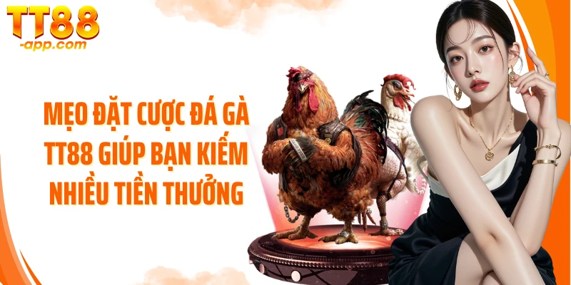 Mẹo đặt cược đá gà TT88 giúp bạn kiếm nhiều tiền thưởng