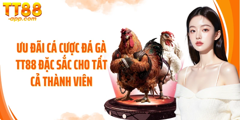 Ưu đãi cá cược đá gà TT88 đặc sắc cho tất cả thành viên